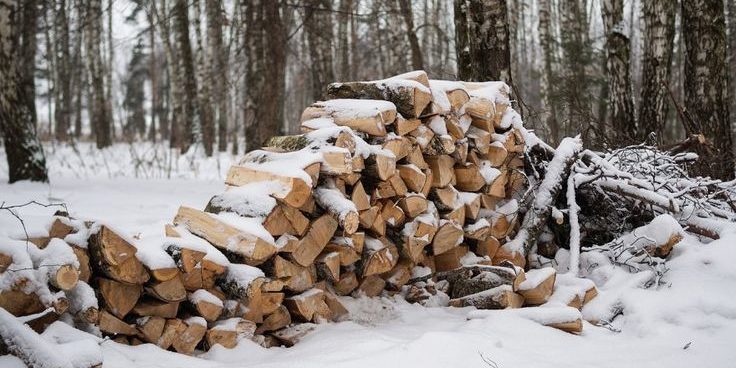 Pile of Wood covered with snow in forest in winter