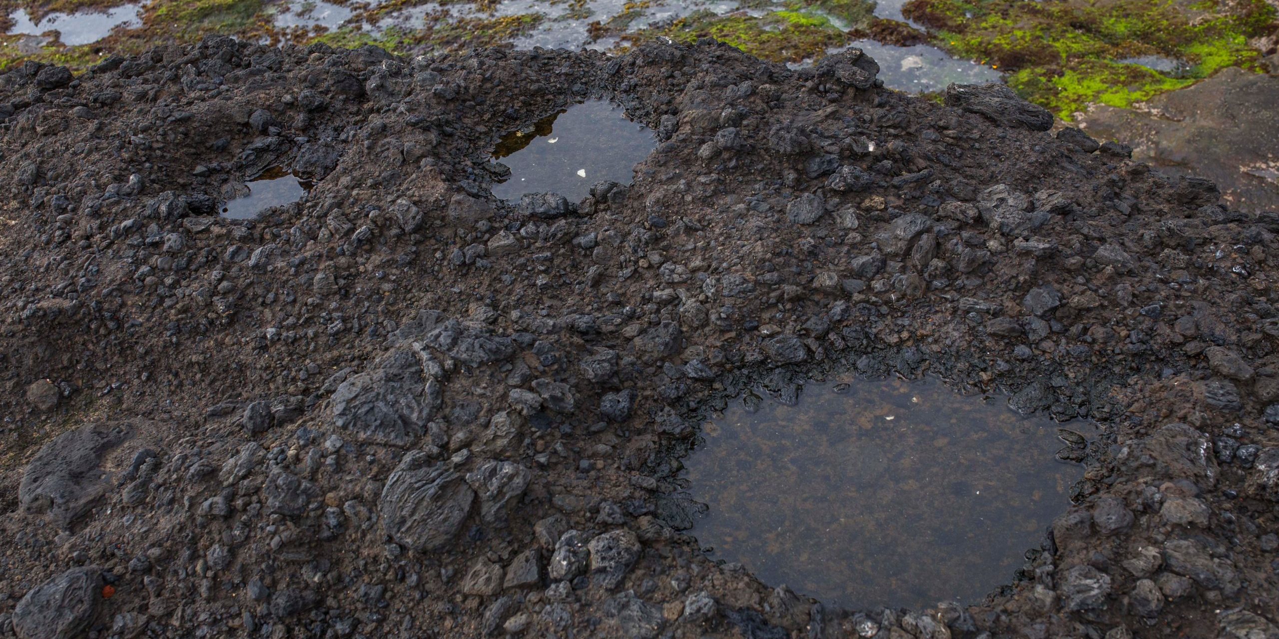 Puddle of water with rocks in it