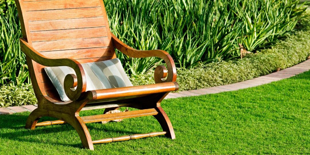 remove mosquitoes from yard