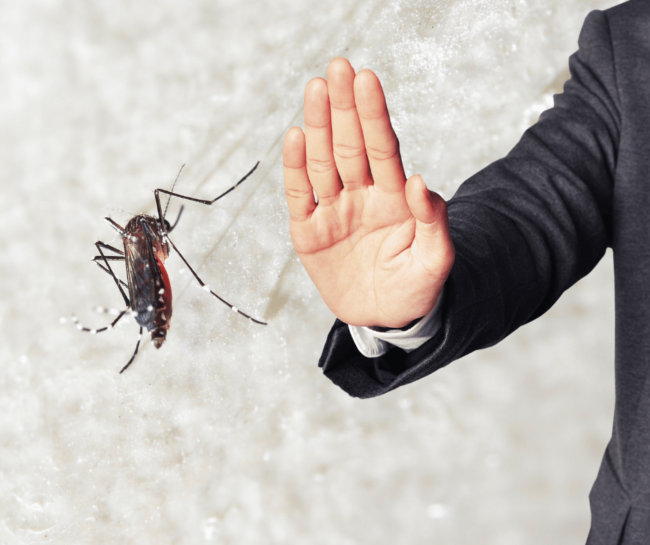 MNX_Mosquito control